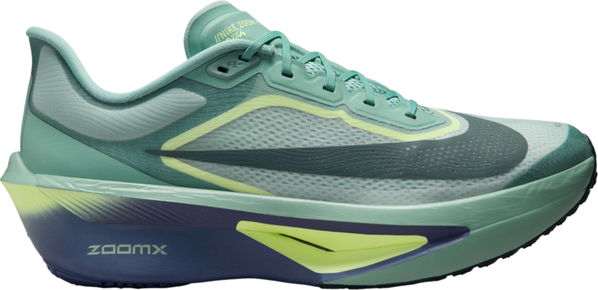 Running shoes Nike Zoom Fly 6