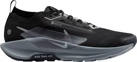 Pegasus Trail 5 GORE-TEX