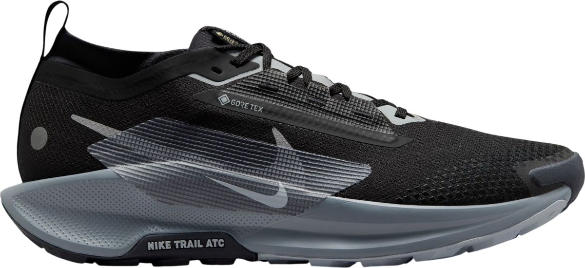 Trailskor Nike Pegasus Trail 5 GORE-TEX
