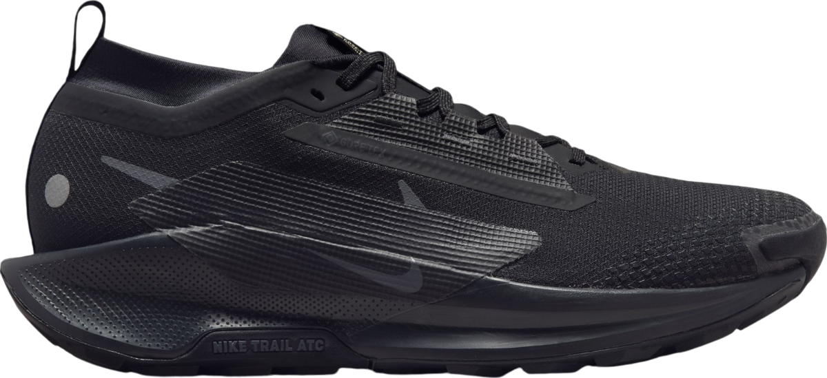 Trail-Schuhe Nike Pegasus Trail 5 GORE-TEX