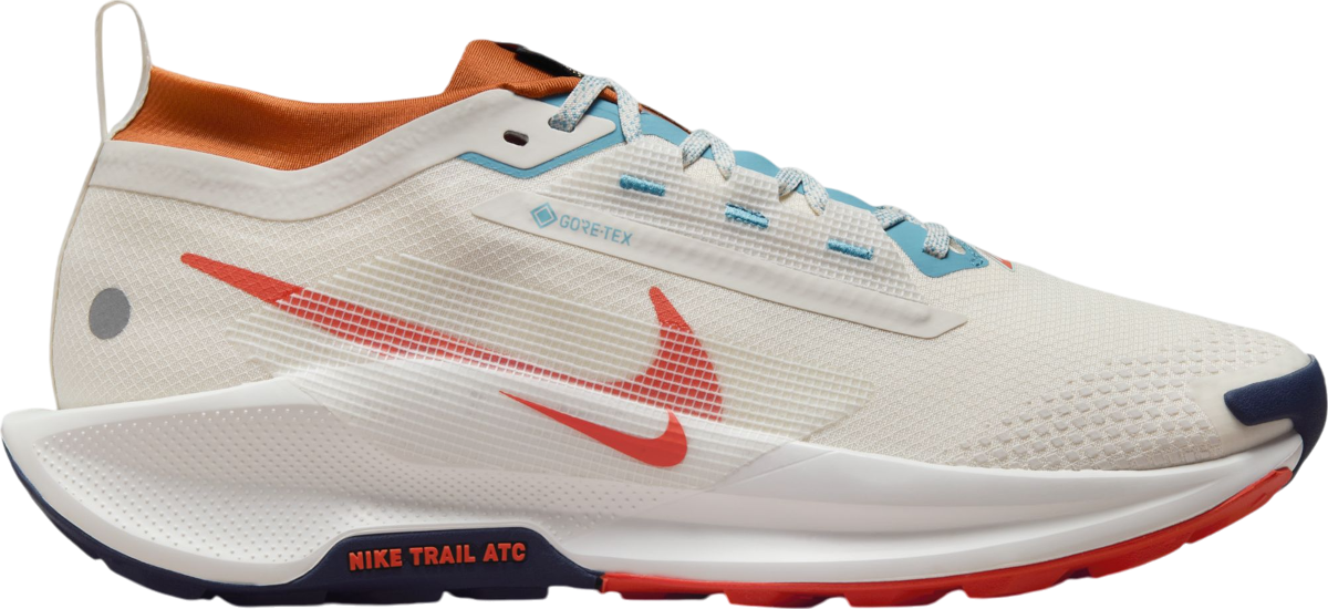 Trailové topánky Nike Pegasus Trail 5 GORE-TEX