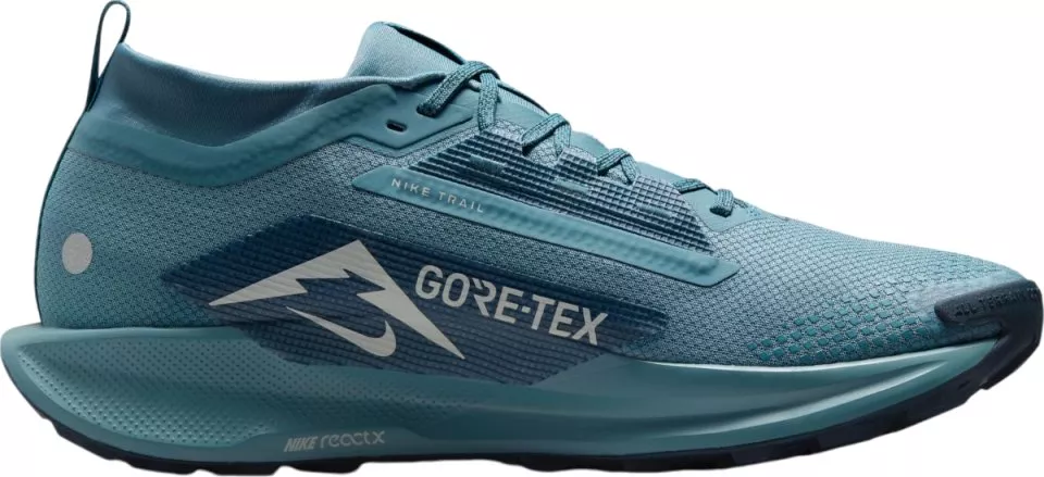 Pánské trailové boty Nike Pegasus Trail 5 GORE-TEX