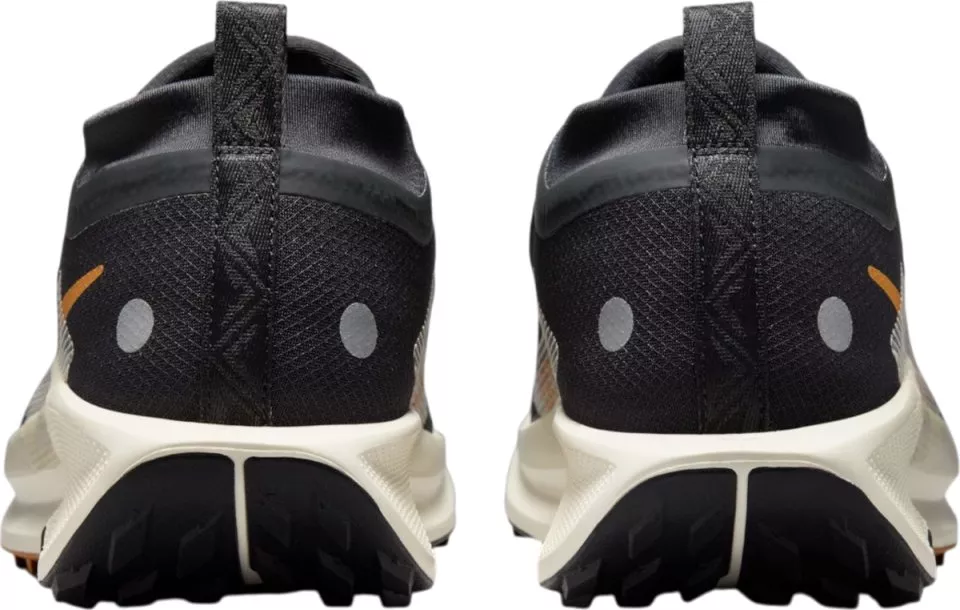 Buty trailowe Nike Pegasus Trail 5 GORE-TEX
