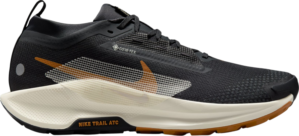 Buty trailowe Nike Pegasus Trail 5 GORE-TEX