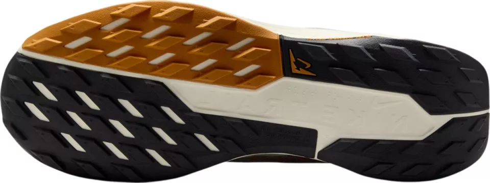 Buty trailowe Nike Pegasus Trail 5 GORE-TEX