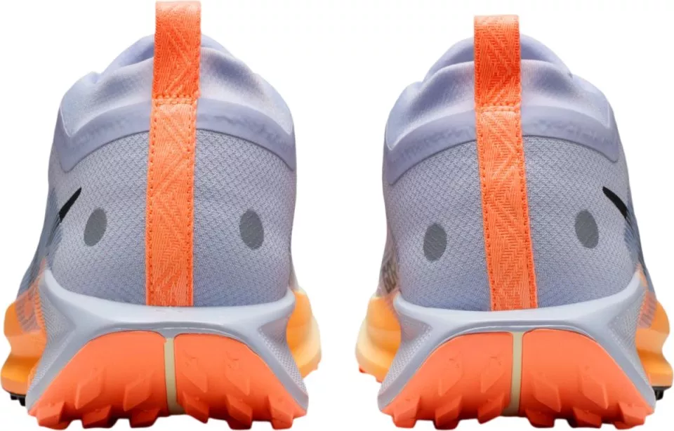 Trail-Schuhe Nike Pegasus Trail 5 GORE-TEX