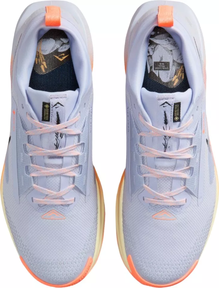 Trail-Schuhe Nike Pegasus Trail 5 GORE-TEX