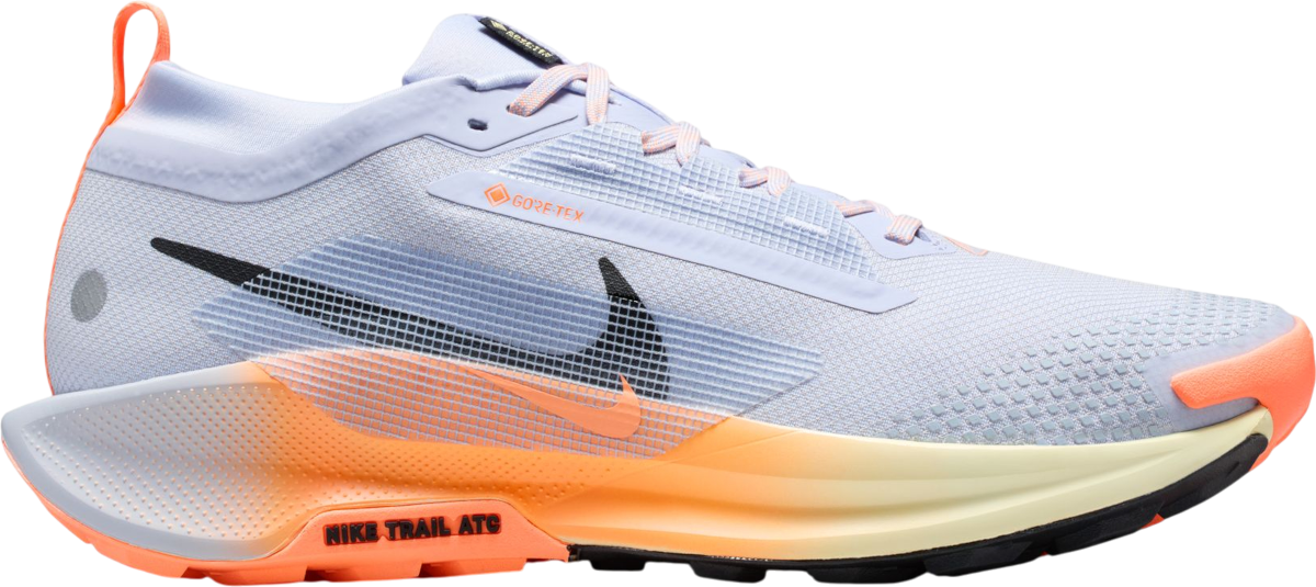 Trail-Schuhe Nike Pegasus Trail 5 GORE-TEX