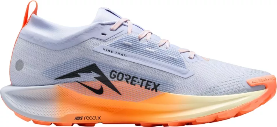 Trail-Schuhe Nike Pegasus Trail 5 GORE-TEX