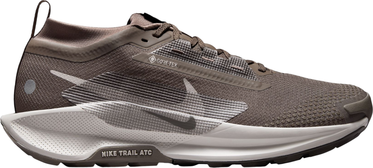Polkukengät Nike Pegasus Trail 5 GORE-TEX
