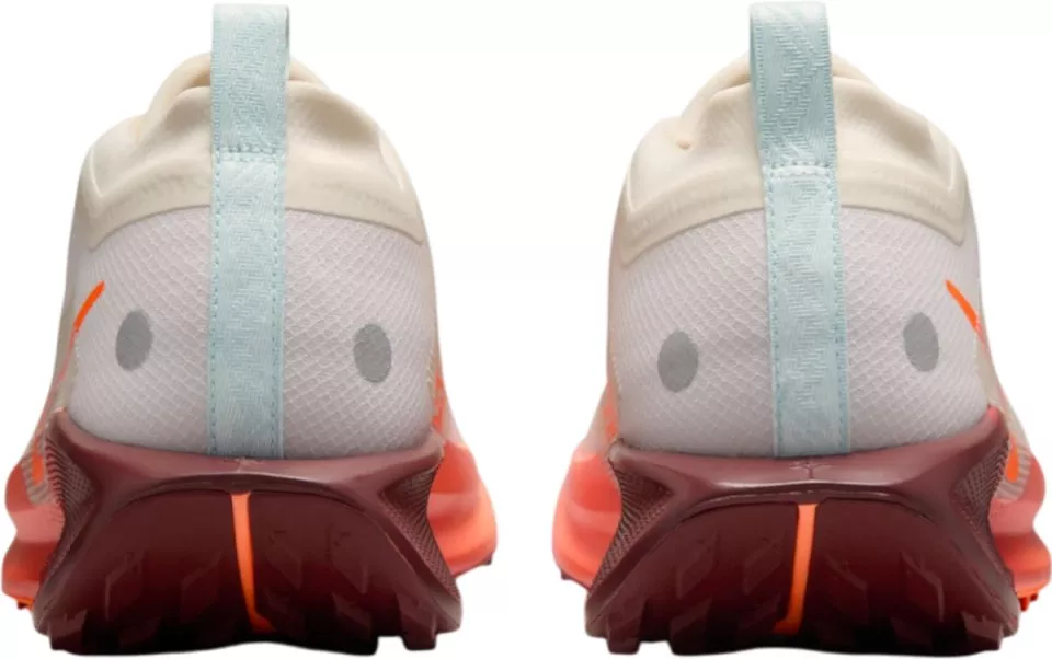 Polkukengät Nike Pegasus Trail 5 GORE-TEX