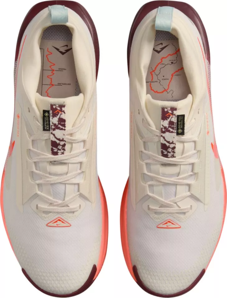 Polkukengät Nike Pegasus Trail 5 GORE-TEX