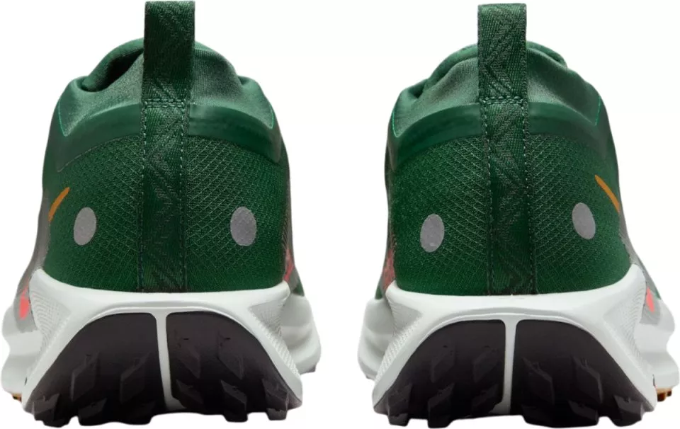 Trail-Schuhe Nike Pegasus Trail 5 GORE-TEX