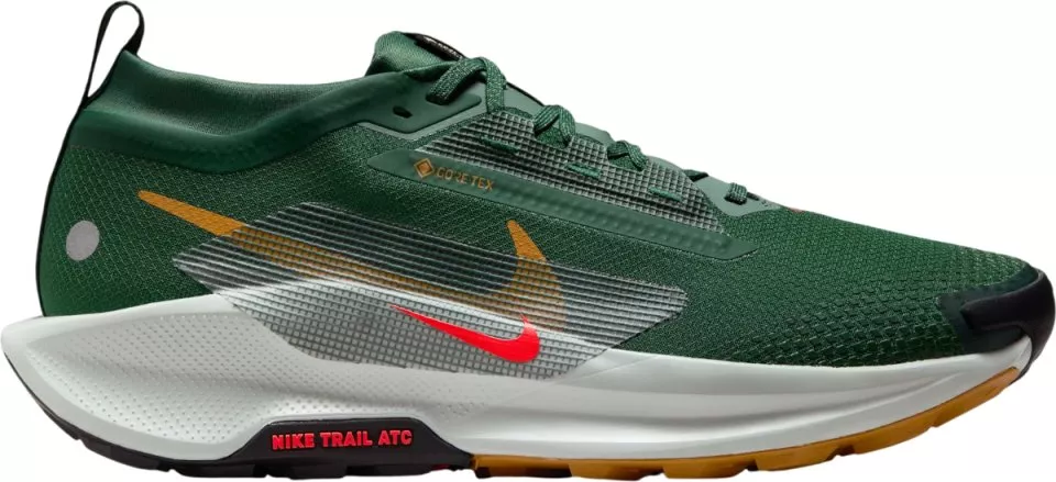 Trail-Schuhe Nike Pegasus Trail 5 GORE-TEX