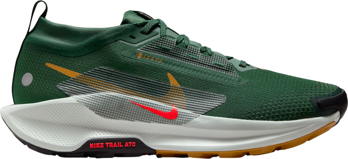 Trail-Schuhe Nike Pegasus Trail 5 GORE-TEX