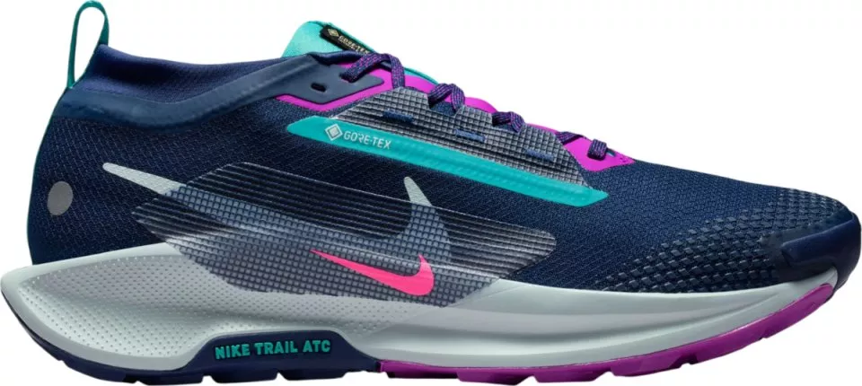 Trail-Schuhe Nike Pegasus Trail 5 GORE-TEX