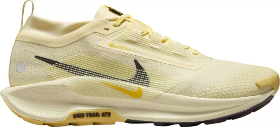 shoes Nike Pegasus Trail 5 GORE-TEX
