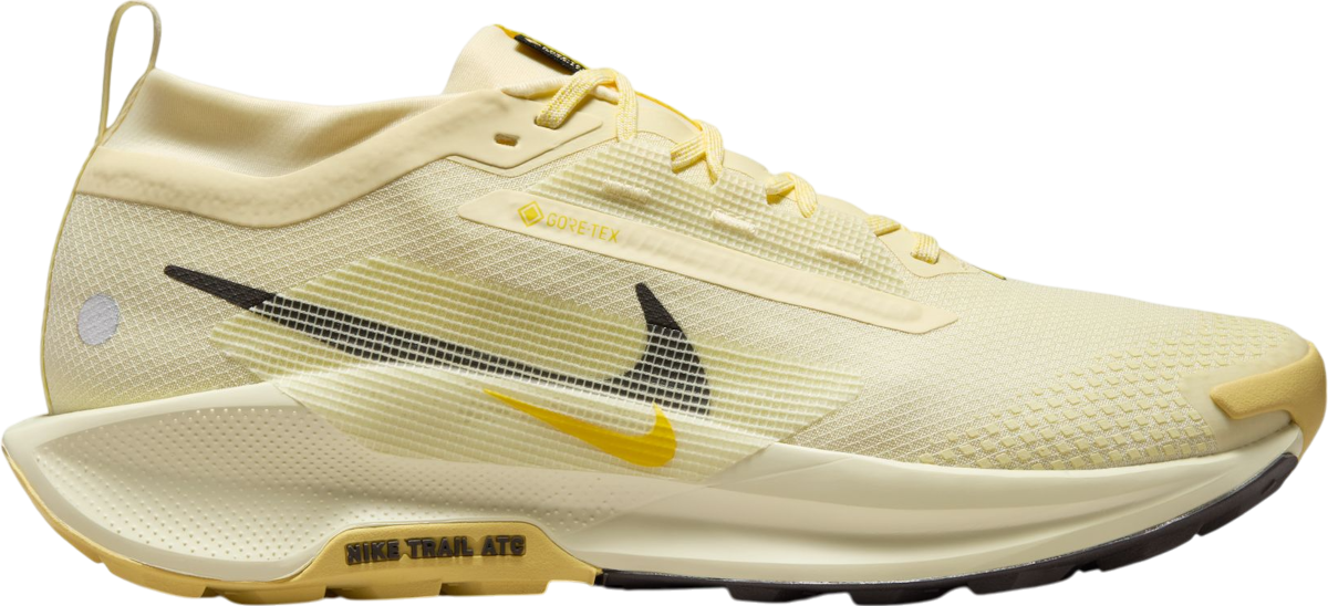 shoes Nike Pegasus Trail 5 GORE-TEX