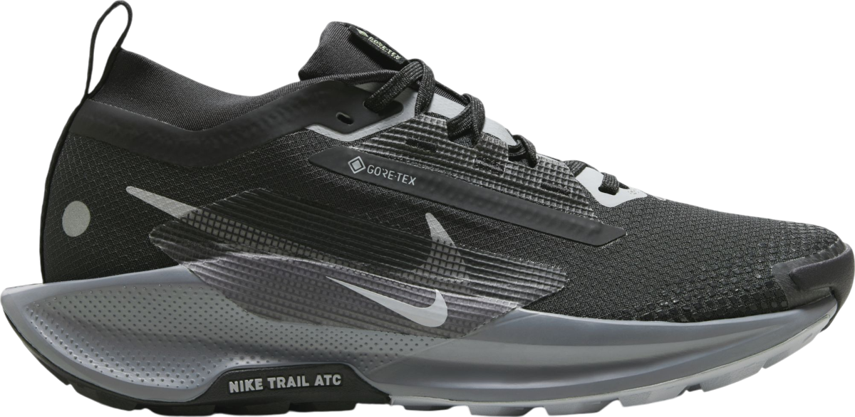 Chaussures de Nike Pegasus Trail 5 GORE-TEX