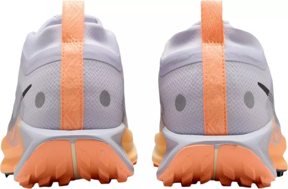 Polkukengät Nike Pegasus Trail 5 GORE-TEX