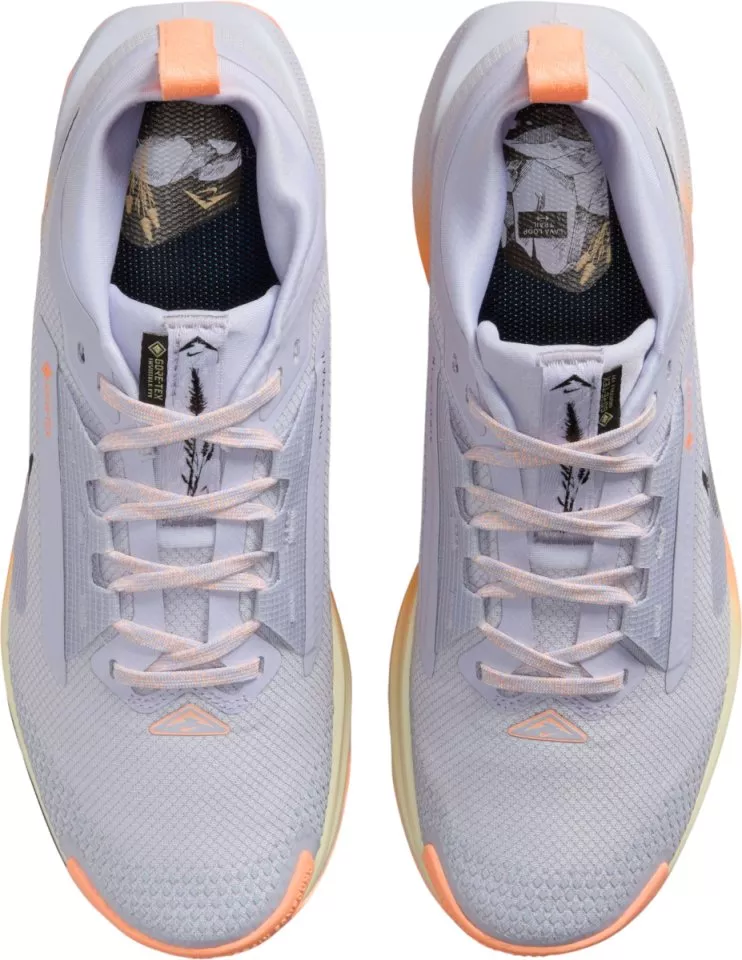 Polkukengät Nike Pegasus Trail 5 GORE-TEX