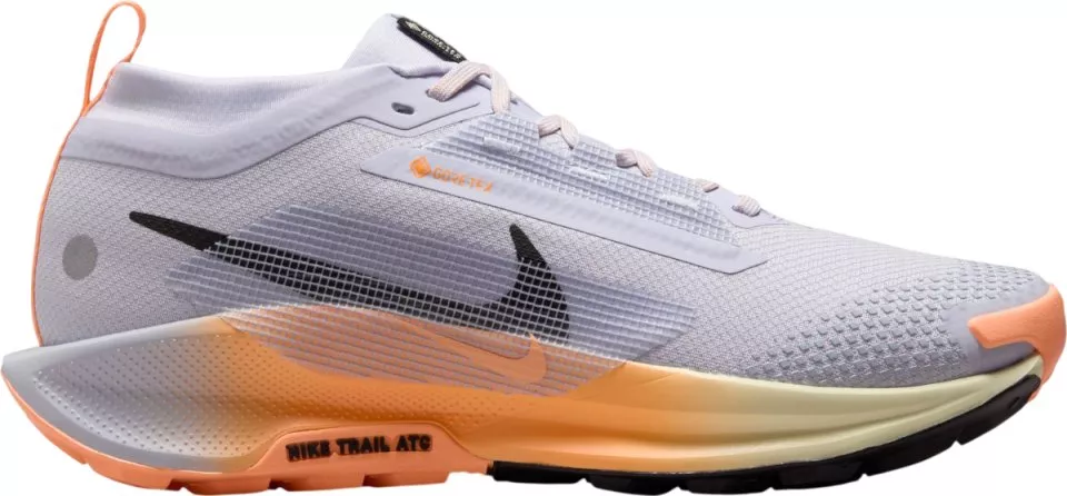 Polkukengät Nike Pegasus Trail 5 GORE-TEX