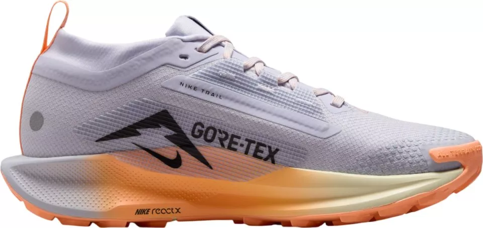 Polkukengät Nike Pegasus Trail 5 GORE-TEX
