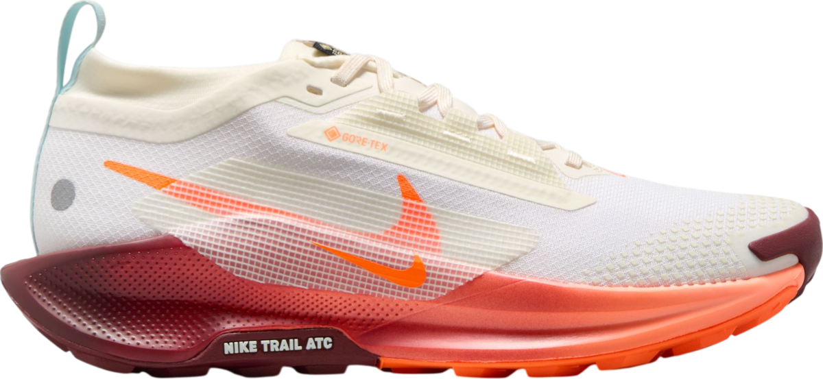 Scarpe per sentieri Nike Pegasus Trail 5 GORE-TEX