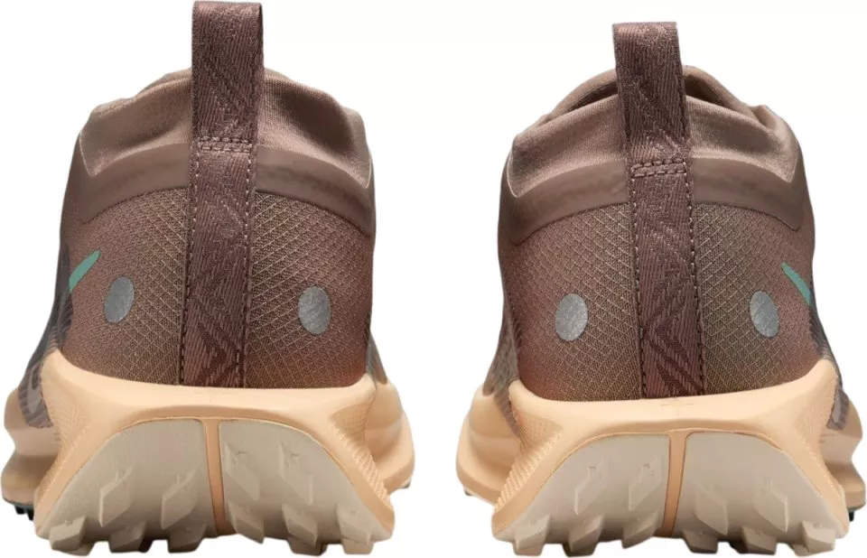 tenisice Nike Pegasus Trail 5 GORE-TEX