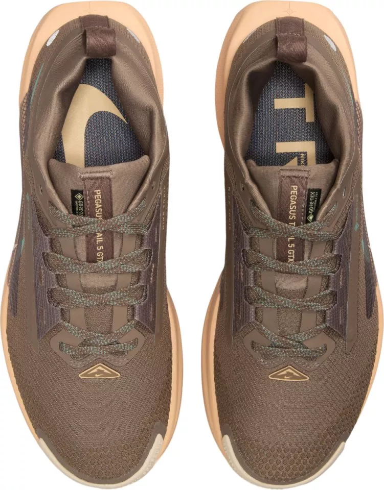 tenisice Nike Pegasus Trail 5 GORE-TEX