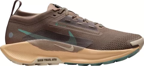 Pegasus Trail 5 GORE-TEX