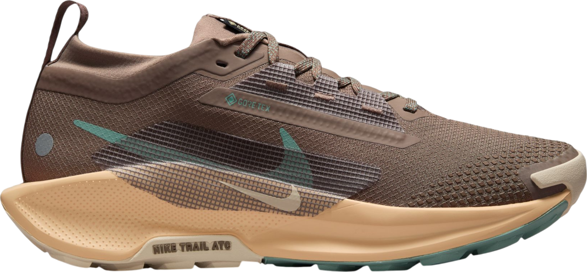 tenisice Nike Pegasus Trail 5 GORE-TEX
