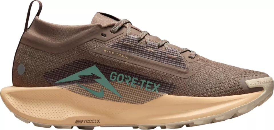 tenisice Nike Pegasus Trail 5 GORE-TEX