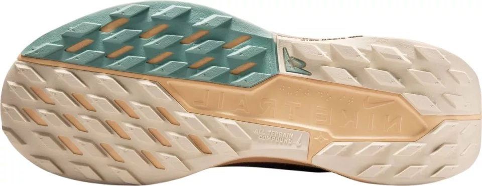 tenisice Nike Pegasus Trail 5 GORE-TEX