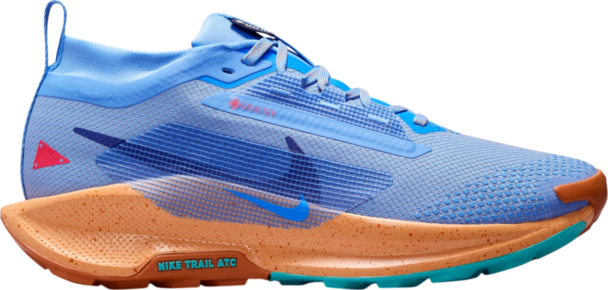 schoenen Nike Pegasus Trail 5 GORE-TEX