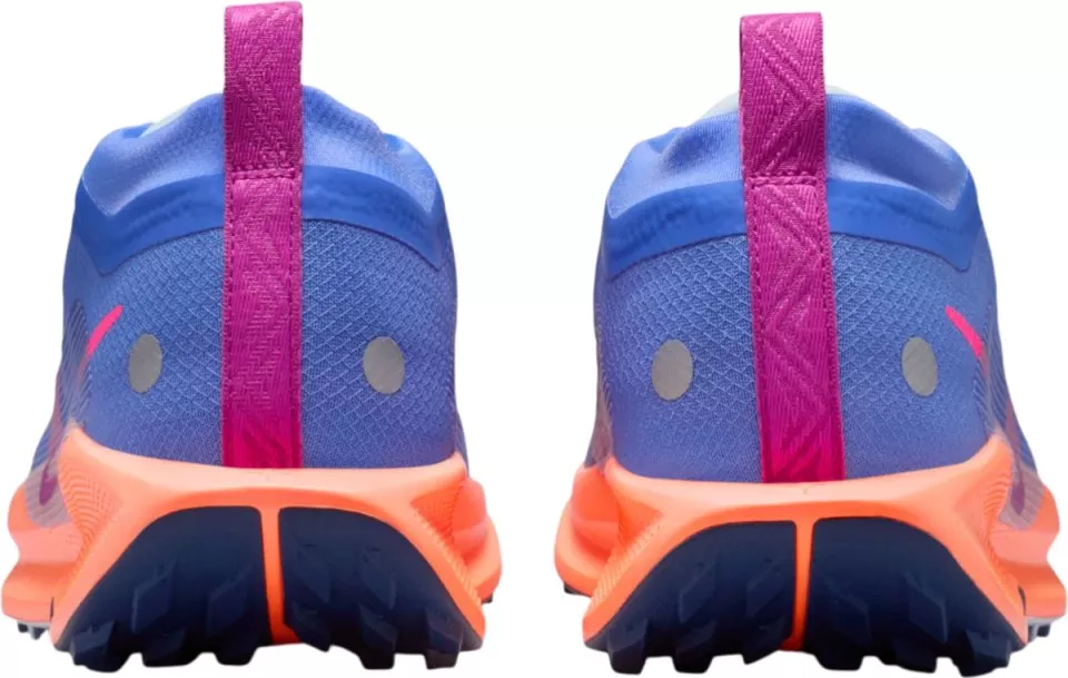 Trail-Schuhe Nike Pegasus Trail 5 GORE-TEX