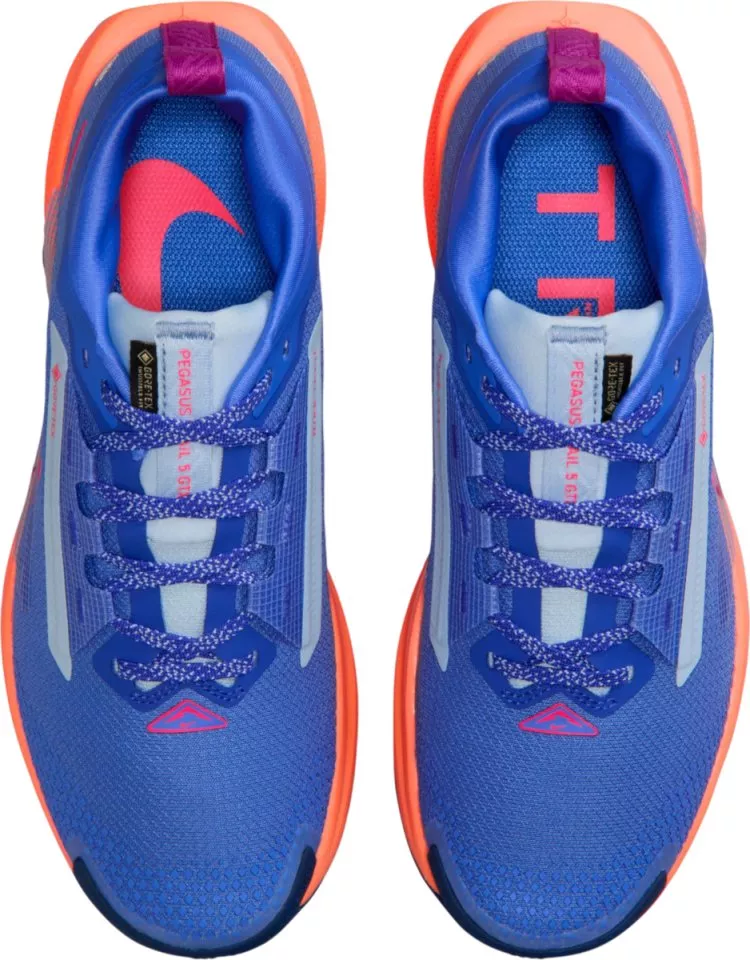 Trail-Schuhe Nike Pegasus Trail 5 GORE-TEX