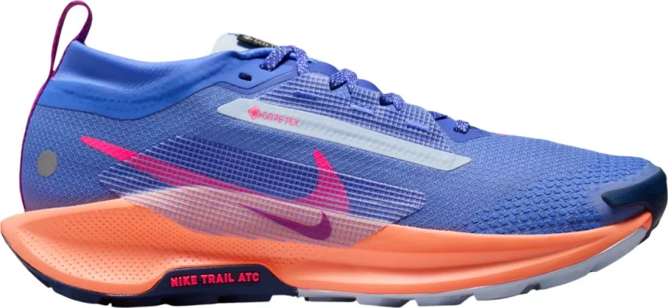 Trail-Schuhe Nike Pegasus Trail 5 GORE-TEX