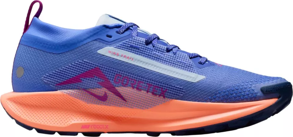 Trail-Schuhe Nike Pegasus Trail 5 GORE-TEX