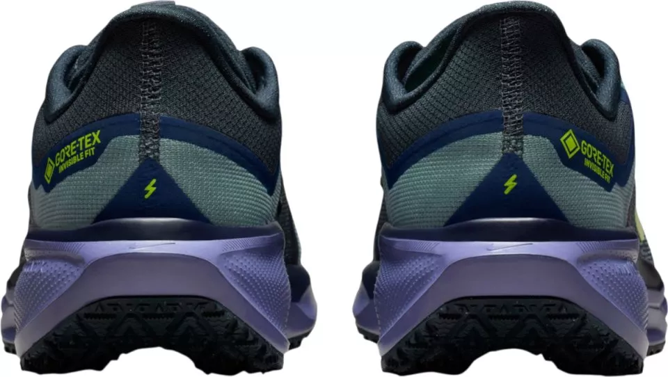 Tekaški copati Nike Pegasus 41 GORE-TEX