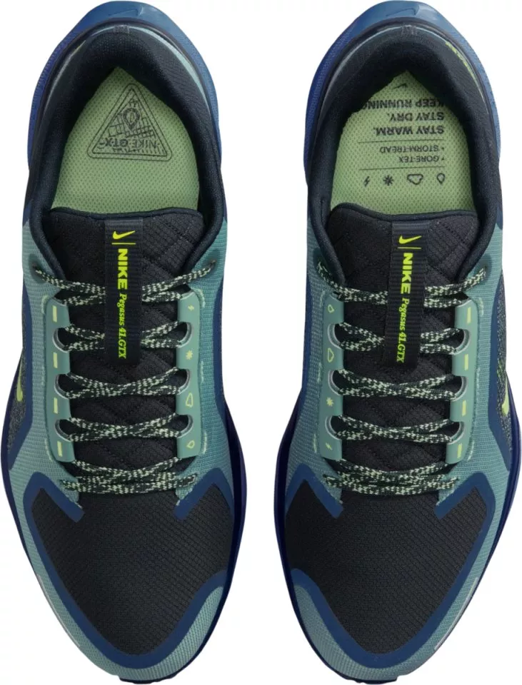 Tekaški copati Nike Pegasus 41 GORE-TEX