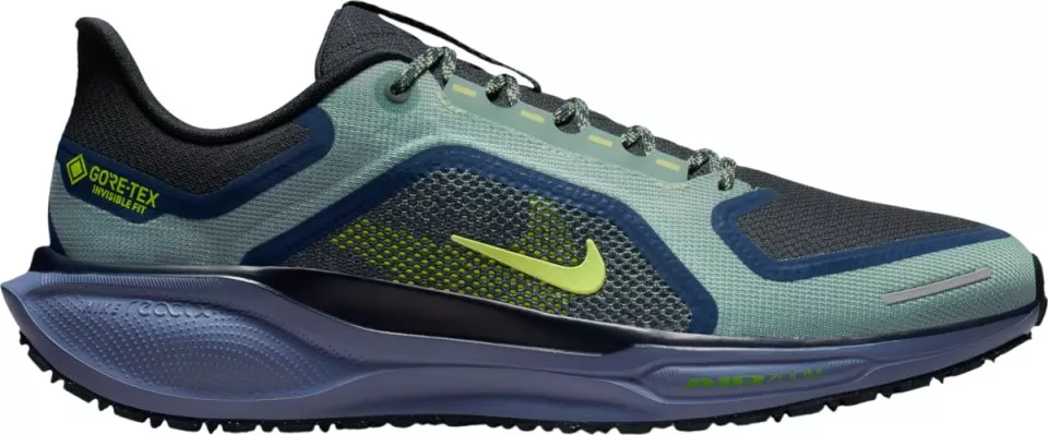 Tekaški copati Nike Pegasus 41 GORE-TEX