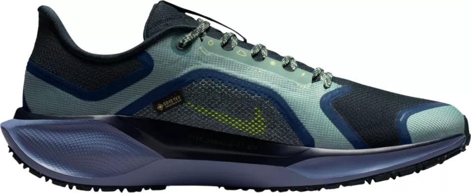 Tekaški copati Nike Pegasus 41 GORE-TEX