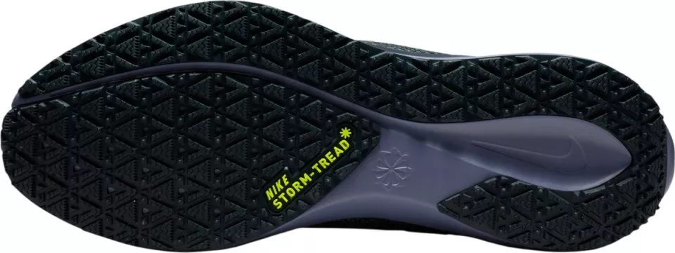 Tekaški copati Nike Pegasus 41 GORE-TEX