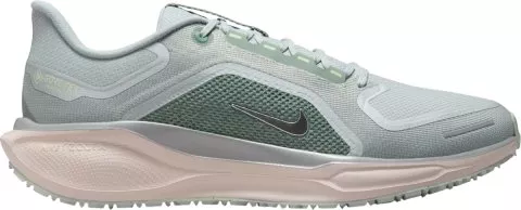 Pegasus 41 GORE-TEX