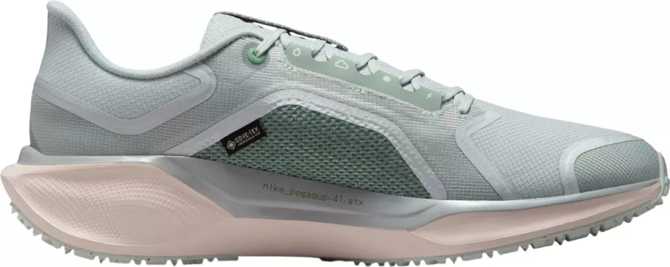 Παπούτσια για τρέξιμο Nike Pegasus 41 GORE-TEX