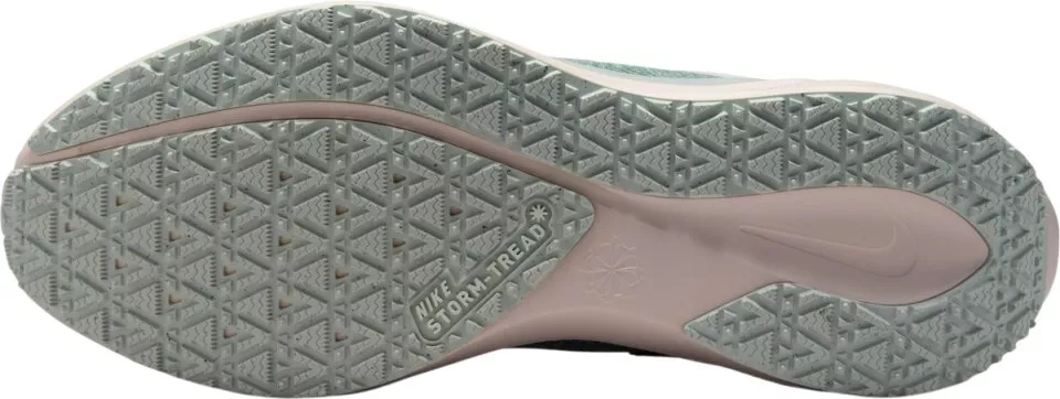 Παπούτσια για τρέξιμο Nike Pegasus 41 GORE-TEX