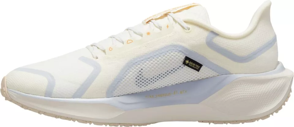 Löparskor Nike Pegasus 41 GORE-TEX