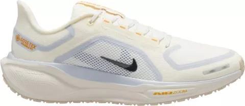 Pegasus 41 GORE-TEX