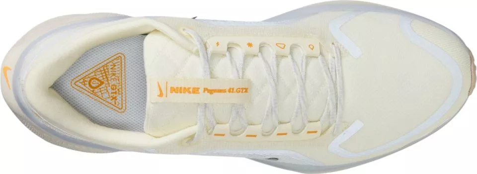 Löparskor Nike Pegasus 41 GORE-TEX